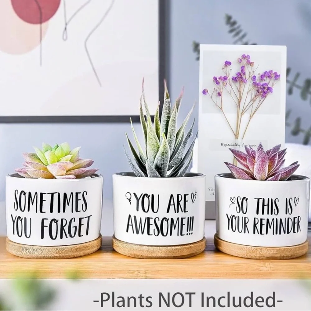 Set of Three Succulent Planters with Inspirational Quotes